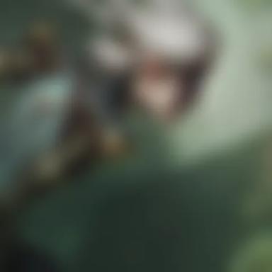 Blurred background image of Camille